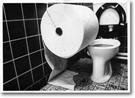 Прикол - туалетная бумага